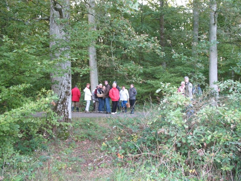 2006 10 Myco Etang d'Or 13